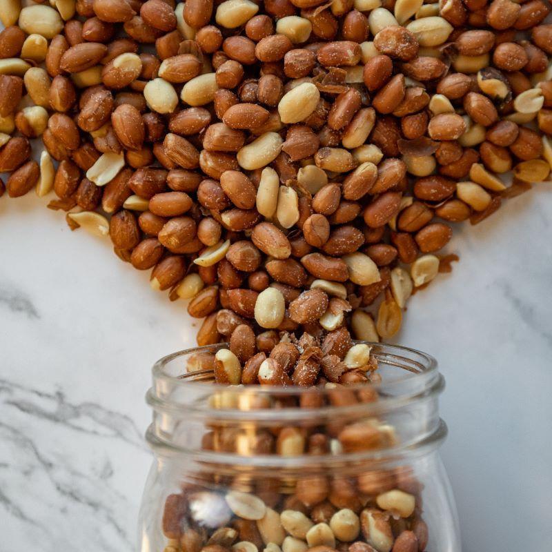Spanish Peanuts -Roasted and Salted 14oz. Our oil-roasted and salted Spanish peanuts are a perfect snack on their own or a great addition to your homemade trail mix. Packed with protein and healthy fats, these peanuts offer a delicious, nutritious crunch. $6.29 USD