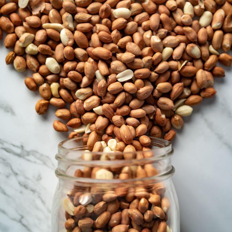 raw spanish peanuts 16oz. Straight from the heart of Georgia and Texas , our raw Spanish peanuts are packed with protein , vitamin E, iron, and calcium . Perfect for snacking or adding that nutty crunch to your baking ! $4.99 USD